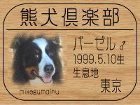 �I�[�i�[�́Abasel mama����ł���